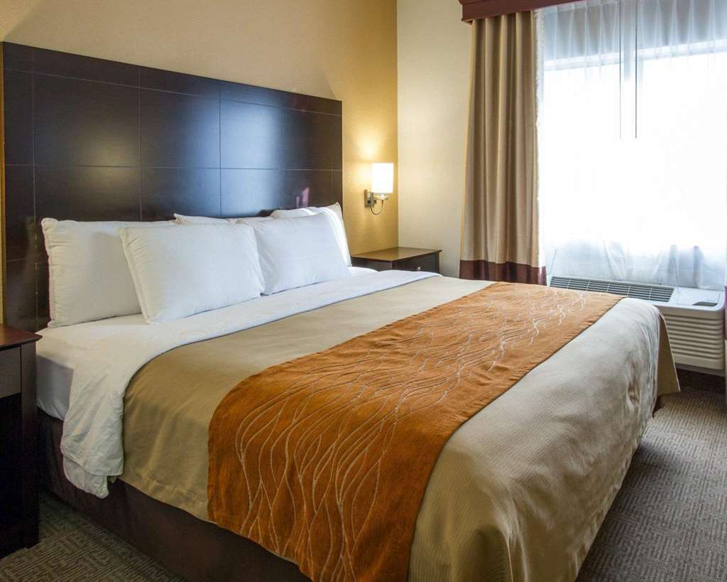 Comfort Inn & Suites Paw Paw Bilik gambar