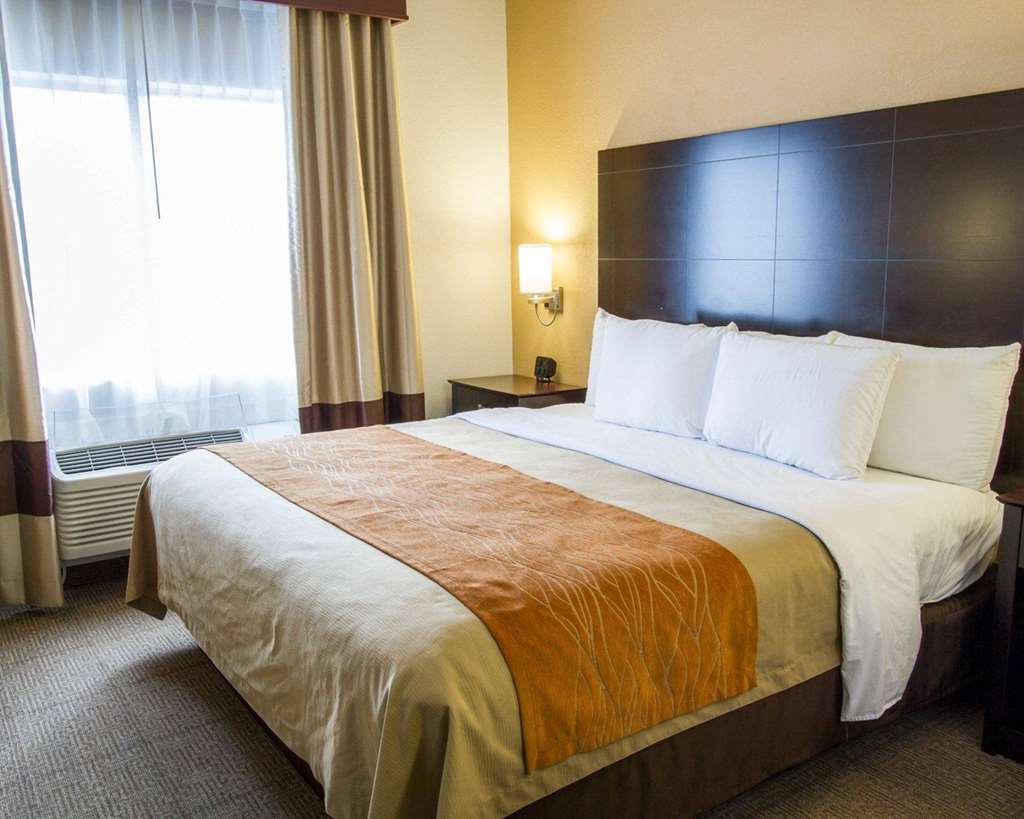 Comfort Inn & Suites Paw Paw Bilik gambar